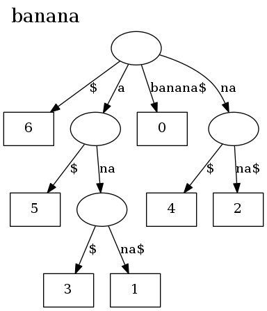 suffix_trees